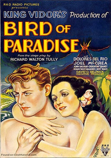 poster-bg-1219 Bird of Paradise