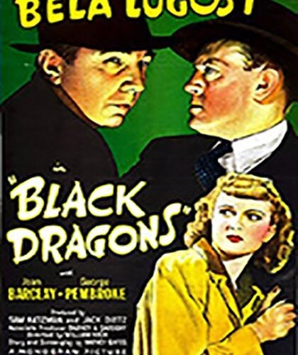 Black Dragons