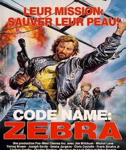 Code Name Zebra