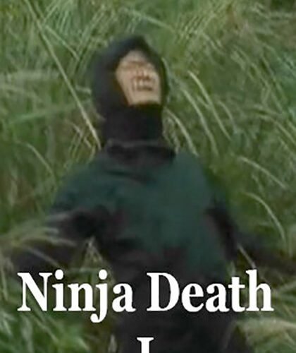Ninja Death I