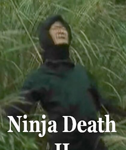 Ninja Death II