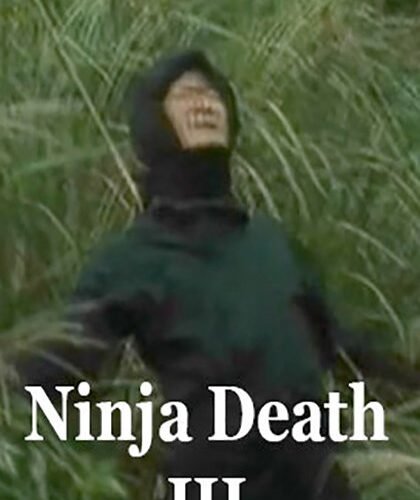 Ninja Death III