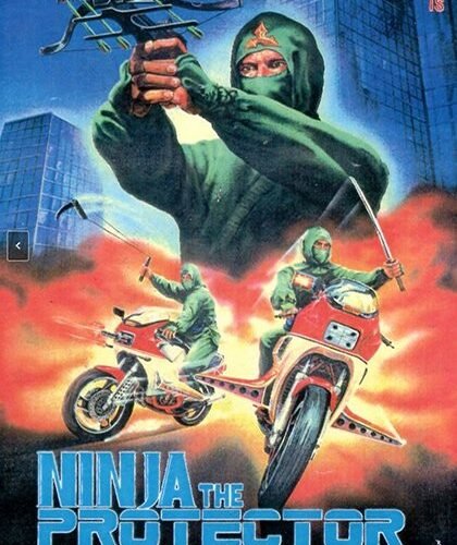 Ninja The Protector