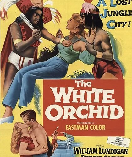 The White Orchid