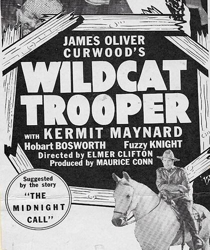 Wild Cat