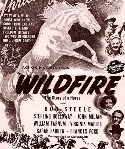 Wildfire