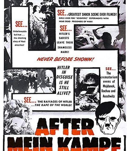 After Mein Kampf