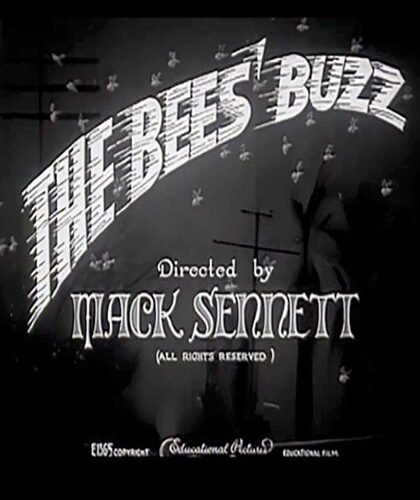 Bees Buzz