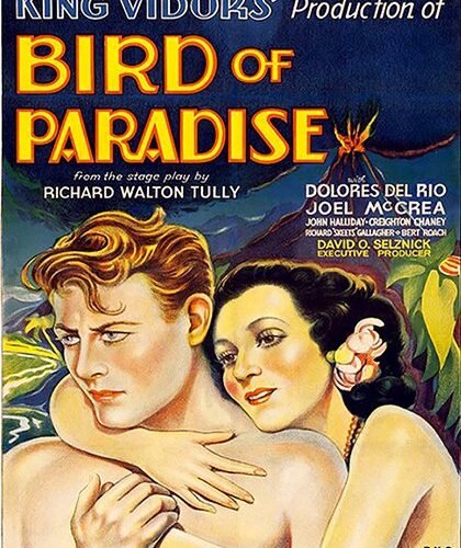 Bird of Paradise