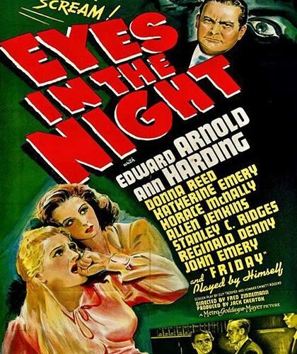 Eyes in the Night