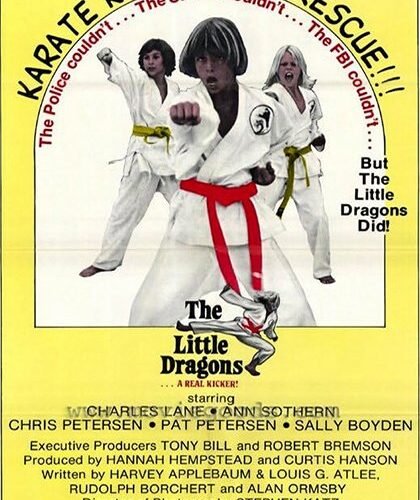 Karate Kids USA (or The Little Dragons)